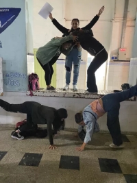 Cursos Introductorios