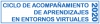 Ciclo de acompa&ntilde;amiento de aprendizajes en entornos virtuales