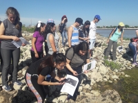 Semana de la Ciencia