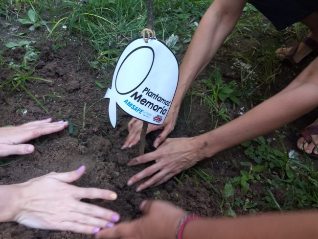 En el ISP8 tambi&eacute;n Plantamos Memoria