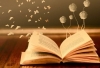 Lengua y Literatura en la Educación Inicial y Primaria. Algunos aportes sobre su enseñanza