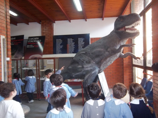 Pr&aacute;cticas en el Museo Ameghino